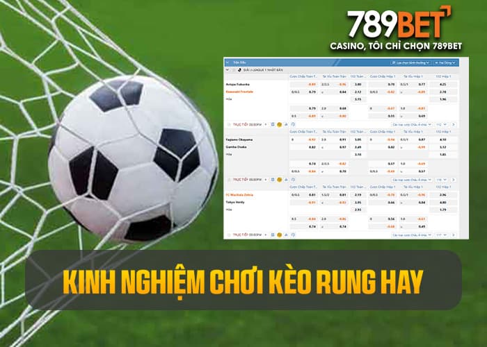 Kinh nghiệm chơi kèo rung hay Kinh nghiệm chơi kèo rung hay